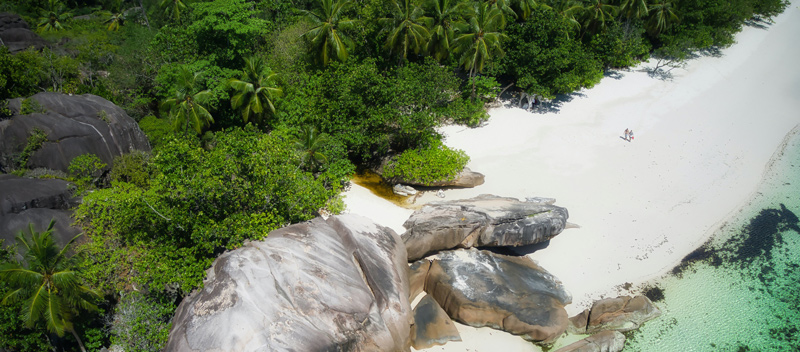 pnj-supplies-seychelles-about-img